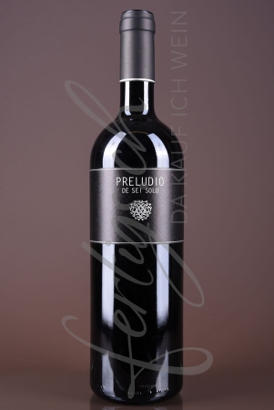 Preludio de Sei Solo, Magnum, Ribera del Duero DO