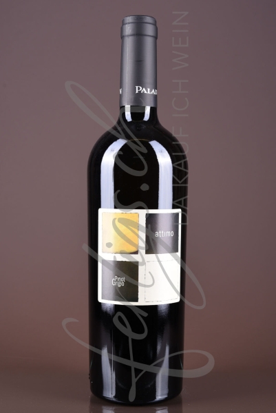 Pinot Grigio attimo DOC