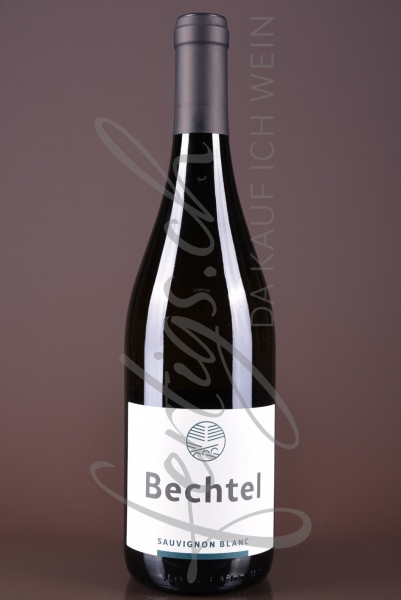 Sauvignon Blanc, Bechtel Linie