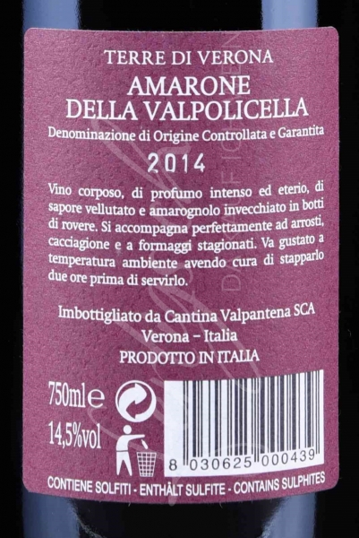 Amarone della Valpolicella DOC, Terre di Verona